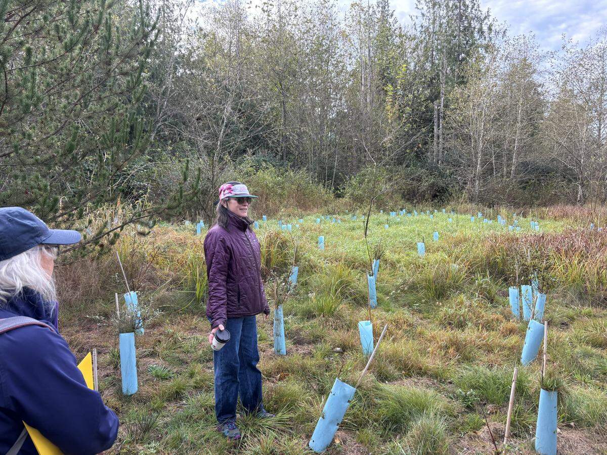 Jennifer Dowd, the head of Exploration Academy, shows off newly planted trees to donors at the new outdoor education field.