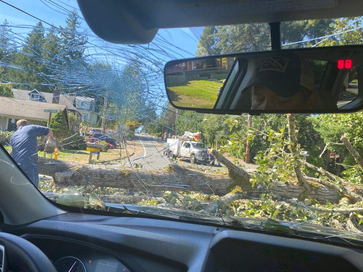 No one was injured when a tree fell on two vehicles on Cable Street in the Geneva area during a wind storm Monday, Sept. 7.