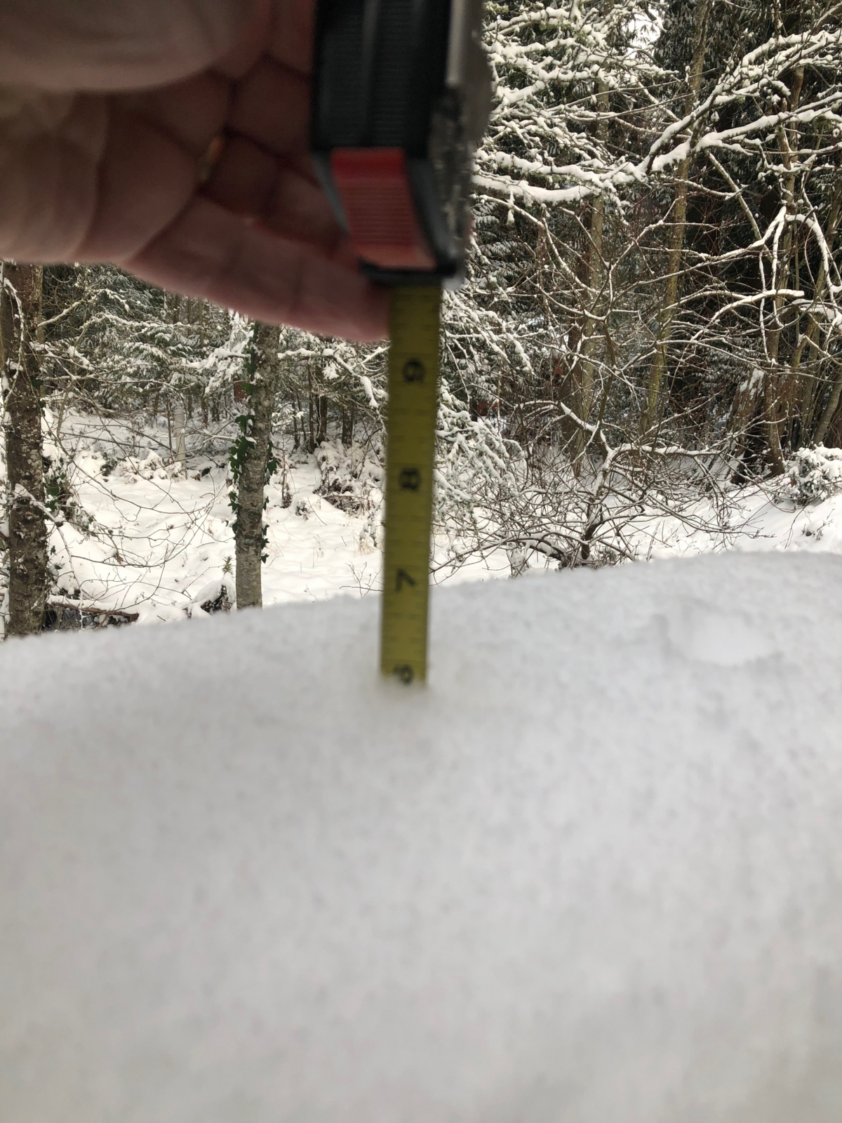 Snow reached almost 6 inches south of Bellingham, Wash., in Sudden Valley on Monday, Feb. 11, 2019.