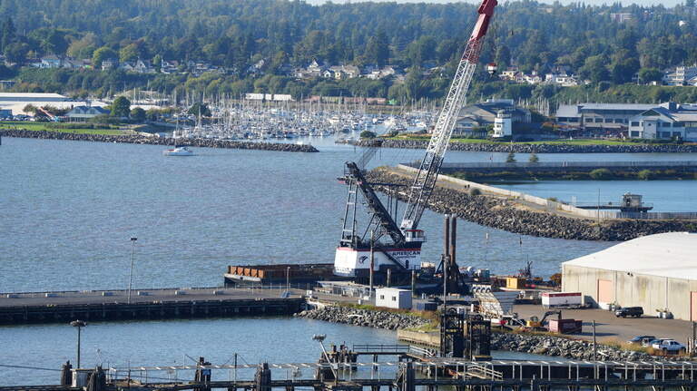 2026 Primary: Meet the candidates for Port of Bellingham Commission District 4