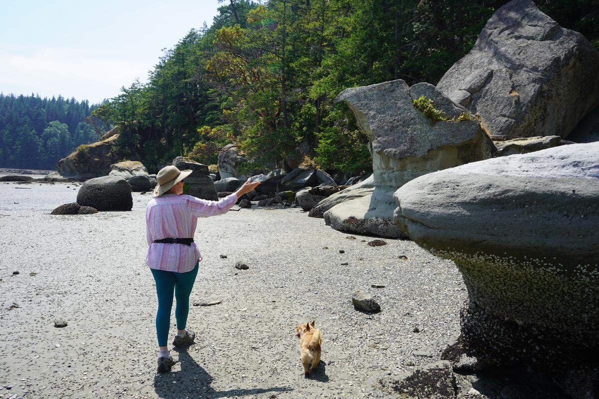 Wendy Larson, a volunteer with the group Protect Mud Bay Cliffs, walks along the base of Mud Bay Cliffs with her dog on July 6, 2023, in Bellingham, Wash.                              