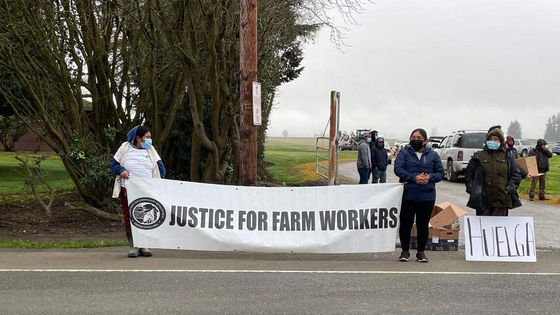 Washington Bulb Company farmworkers strike over wages and health and safety protections in Mount Vernon on Wednesday, March 23. The workers are represented by Burlington-based farmworker union Familias Unidas por la Justicia.
