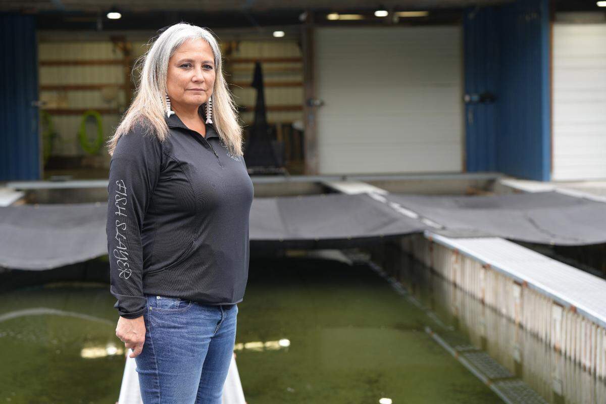 Lummi Indian Business Council Secretary Lisa Wilson looks at the salmon making their way into the Skookum Creek Fish Hatchery on Aug. 21, 2024, near Acme, Wash.