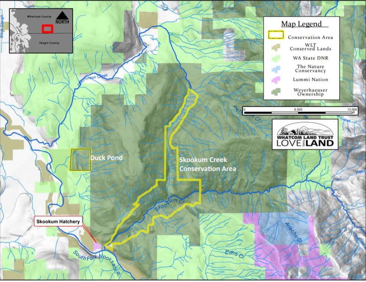 Whatcom Land Trust bought the area bordered in yellow from Weyerhaeuser Co. for $4 million.