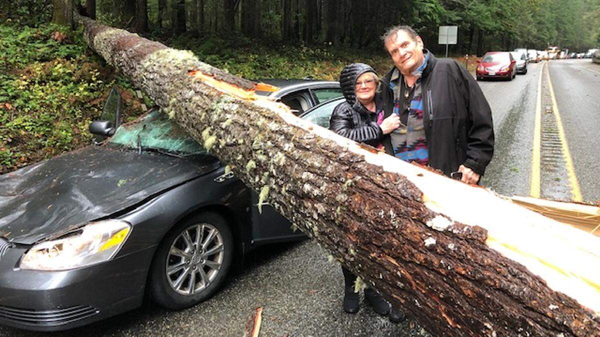 Bellingham Deborah and Joseph Bernard miraculously walked away unhurt from a wind-blown 100-foot tree hitting their Buick near Quilcene while they were returning home from Thanksgiving weekend on the Olympic Peninsula.