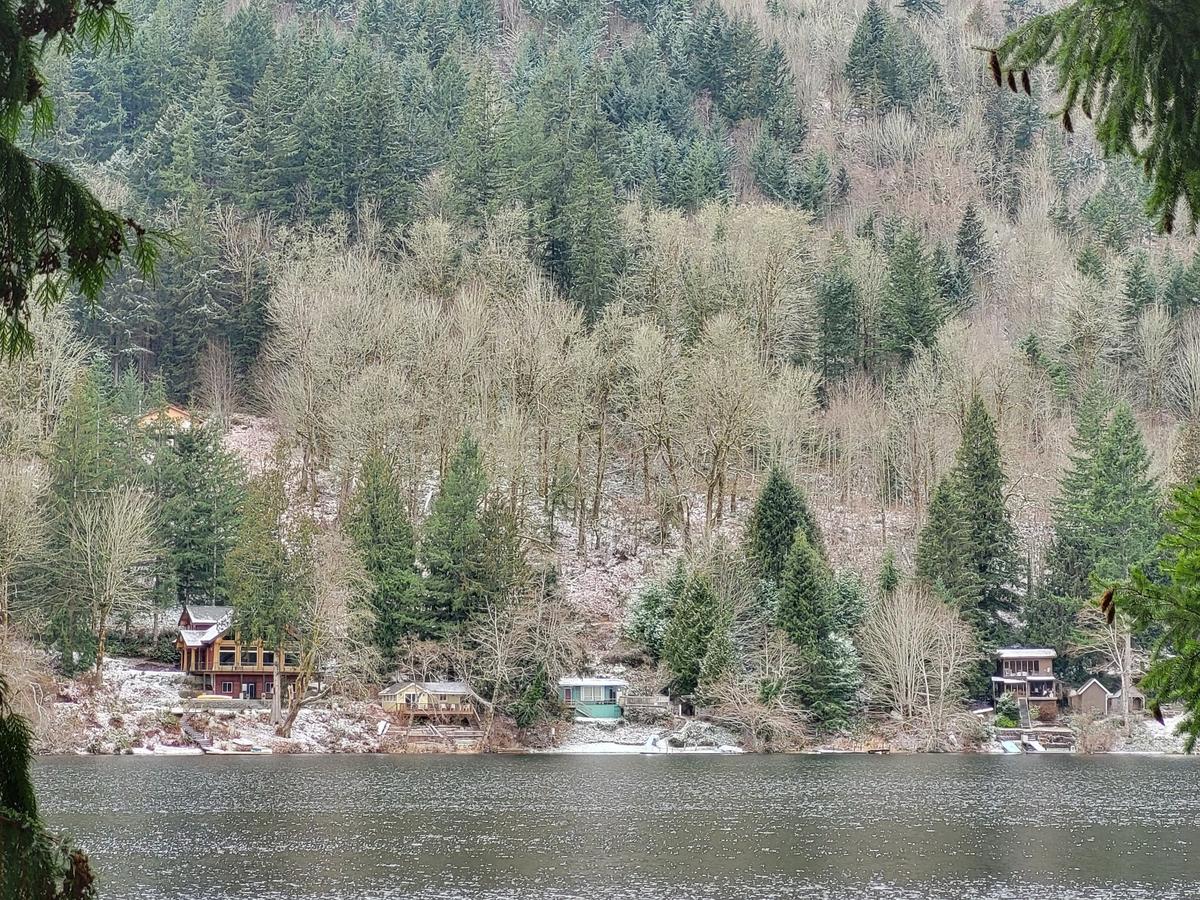 Light snow coats the ground Wednesday, Feb. 22, for residents around Cain Lake on the Whatcom-Skagit county line.