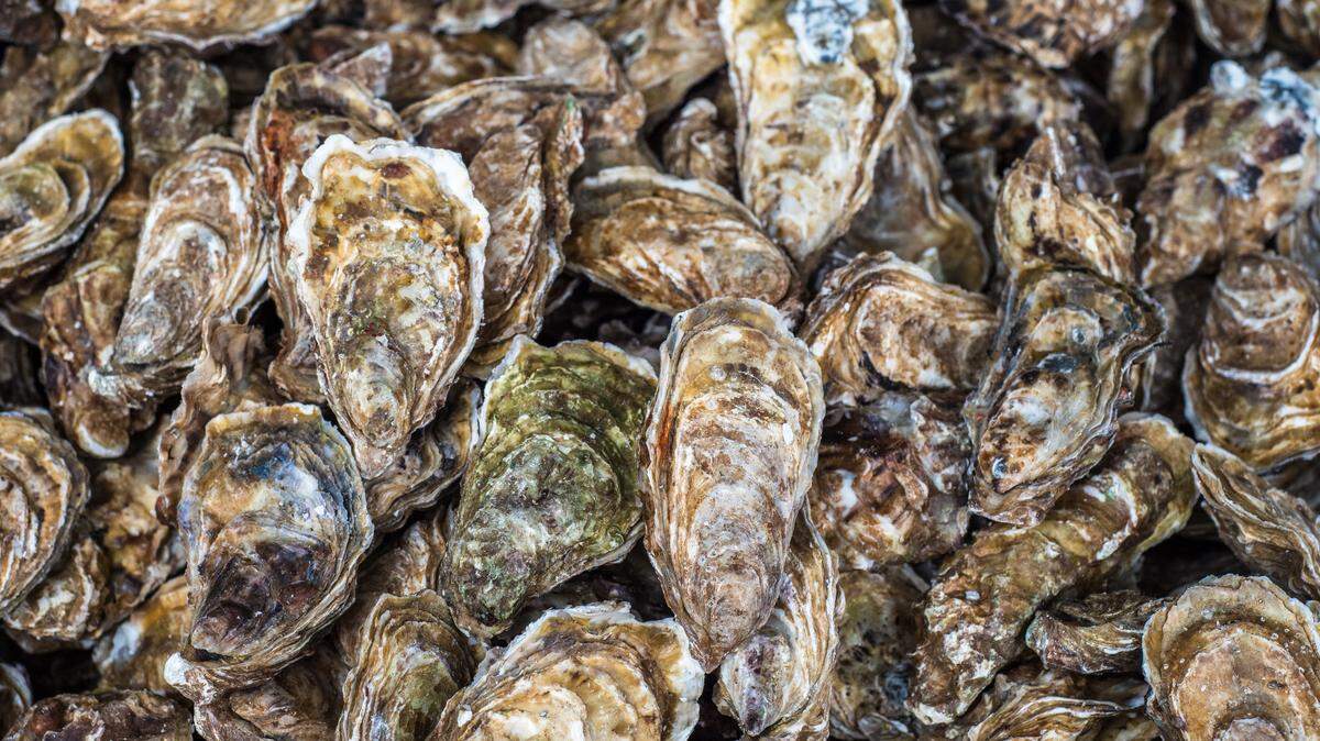 Here’s how ocean acidification threatens one of Whatcom County’s oldest industries