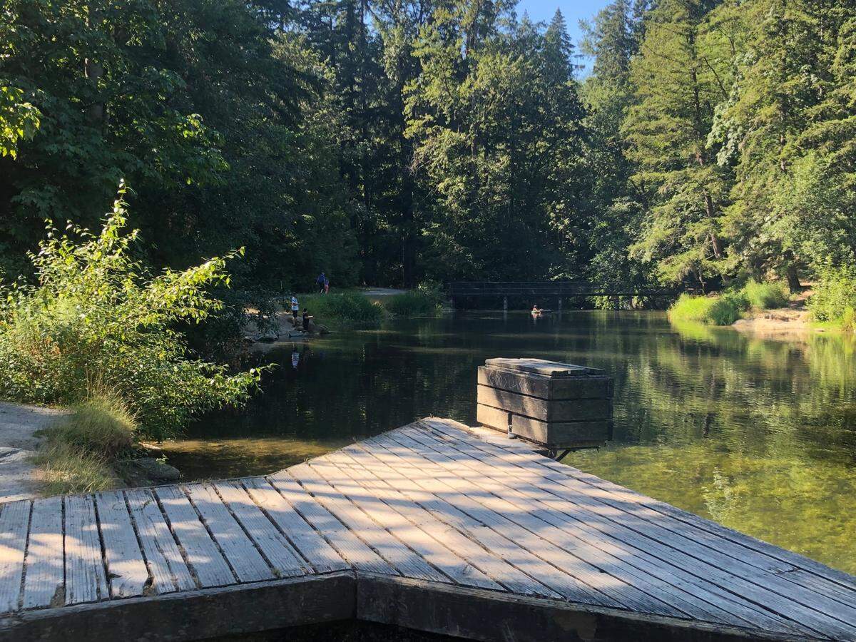 Derby Pond at Whatcom Falls Park Friday afternoon, July 29, in Bellingham. A child died while playing in the water nearby Friday, according to Bellingham police.