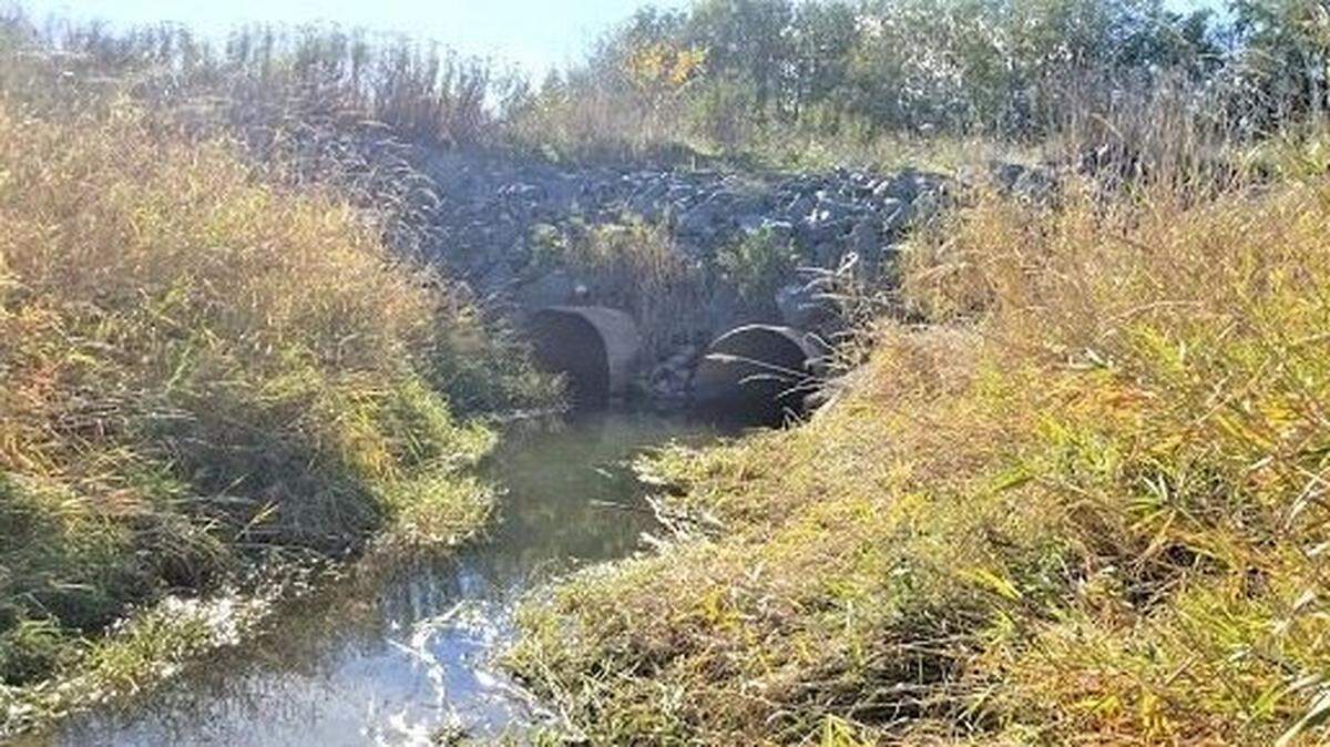 Duffner Ditch, a creek near Lynden, is shown in an undated photo.