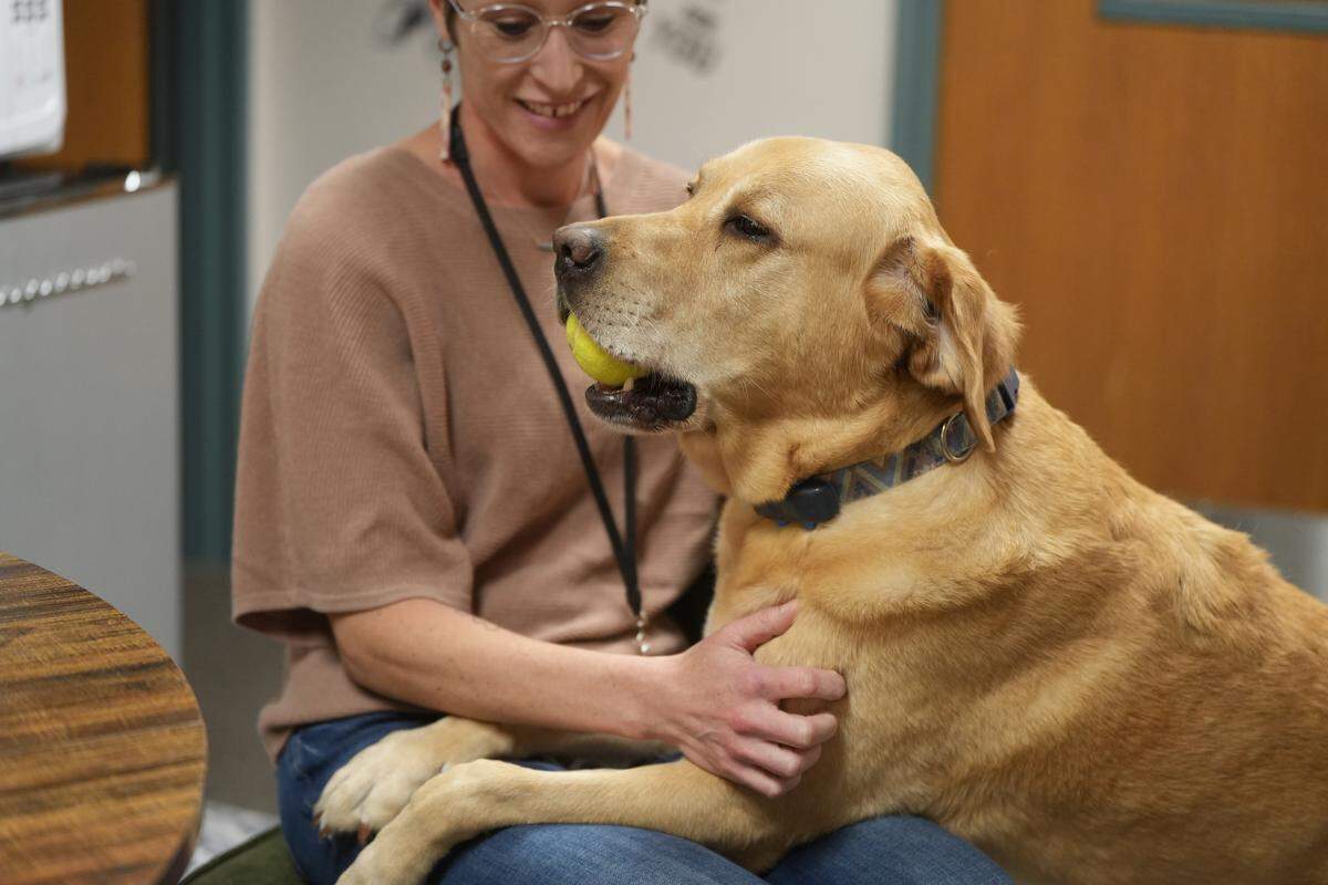 Davie sits with his handler, Melissa Isenhart, on Nov. 21. Davie is trained to provide quiet companionship to victims and survivors of crime.