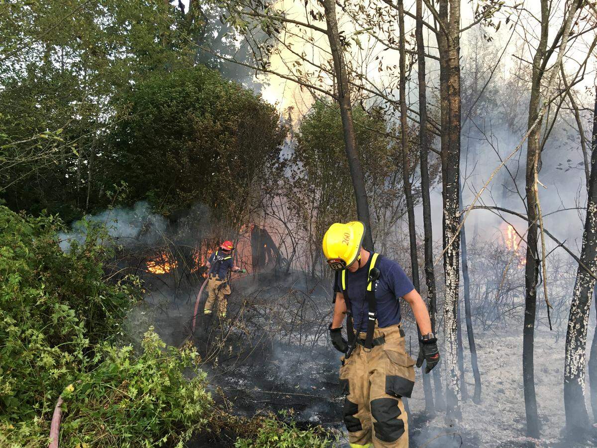 South Whatcom Fire Authority and Whatcom County Fire District 18 crews battle a wildfire near Bow Thursday evening.