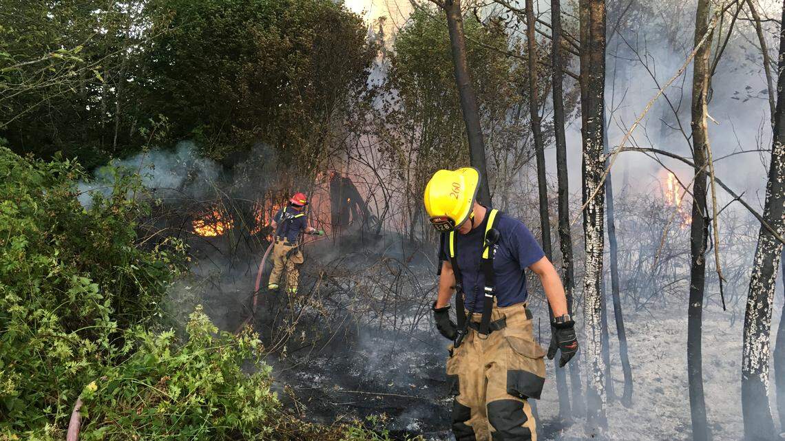 There’s an El Niño watch. Here’s how it could affect Western Washington weather