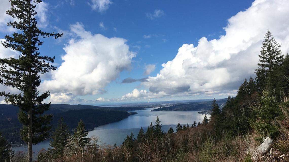 The Stewart Mountain Trail off Y Road gives views of southern Lake Whatcom near Bellingham, Washington. A right-of-way dispute on a Whatcom County trail between hikers and a mountain biker led to one man stabbed and airlifted to Seattle and a Bellingham man arrested.