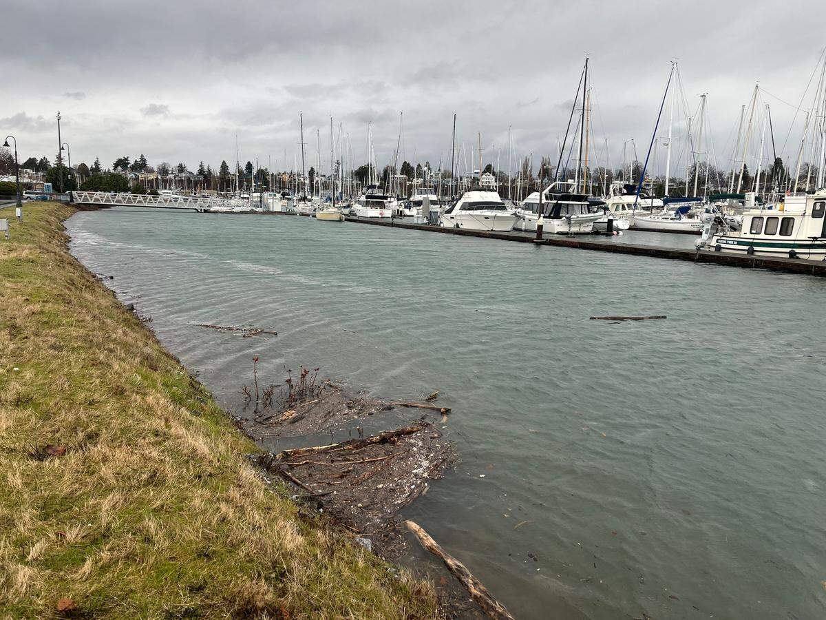 A surging tide of 9 feet, 6 inches forecast for 9 a.m. Tuesday, Dec. 27, brings water to the top of the berm at Squalicum Harbor in Bellingham.