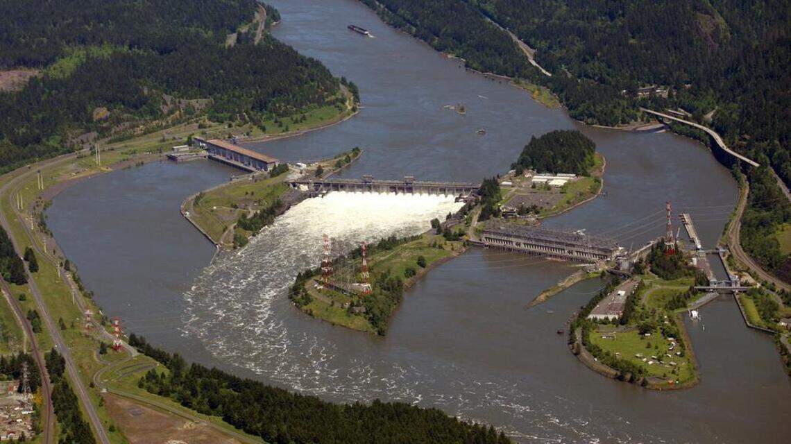 Columbia Riverkeeper sues Army Corps, says hot water discharge from dams kills fish