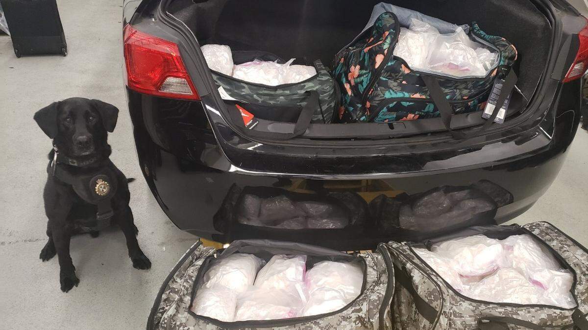 Canadian officials arrested a traveler who reportedly attempted to smuggle 100 kilograms of methamphetamine across the U.S./Canada Border from Whatcom County.