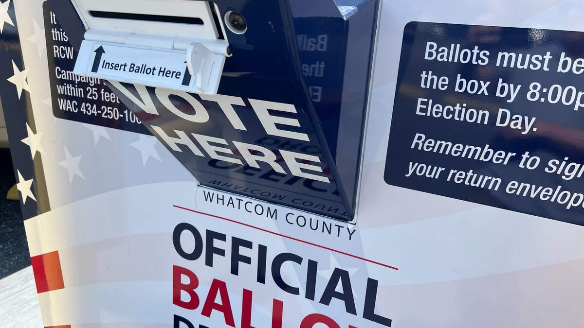 We ran background checks on the Whatcom legislative candidates. This is what we found