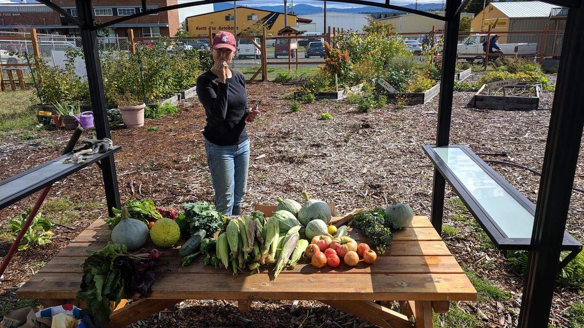 Beth Chisholm, program coordinator for the Washington State University Whatcom County Extension Master Gardeners Program, advises gardeners to weed by hand, use sheet mulch or drip irrigation to avoid using herbicides in their gardens.
