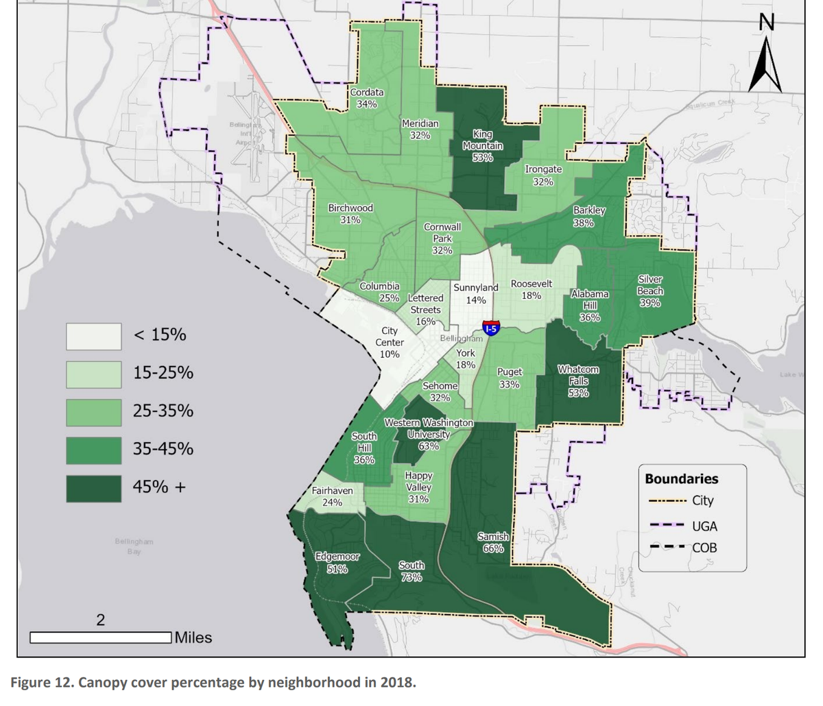 A report released by the city of Bellingham in August 2021 shows tree canopy cover by neighborhood in Bellingham.
