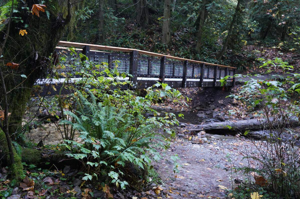 The newly repaired Arroyo Park bridge runs across Chuckanut Creek on Oct. 25, 2023, in Bellingham, Wash. The bridge was damaged in January 2021 after a tree fell on it.