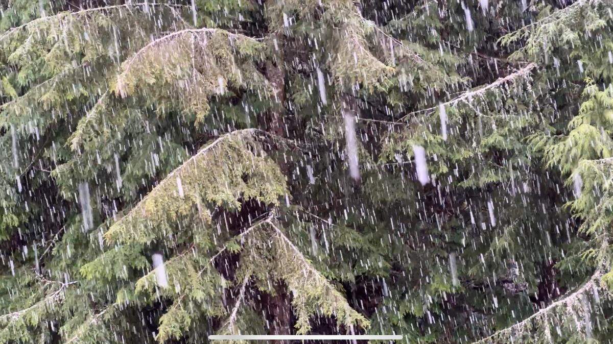 A brief thunderstorm swept across parts of western Whatcom County on Thursday. Hail and snow fell in the Sudden Valley community and hail was reported along with thunder and lightning in Bellingham and Ferndale.