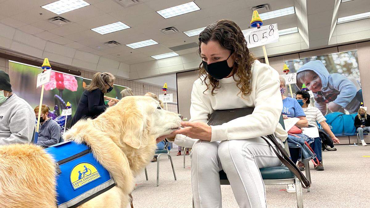 A facility dog greets a vaccine recipient at the PeaceHealth vaccine clinic on Thursday, March 25, 2021, in Bellingham, Wash.