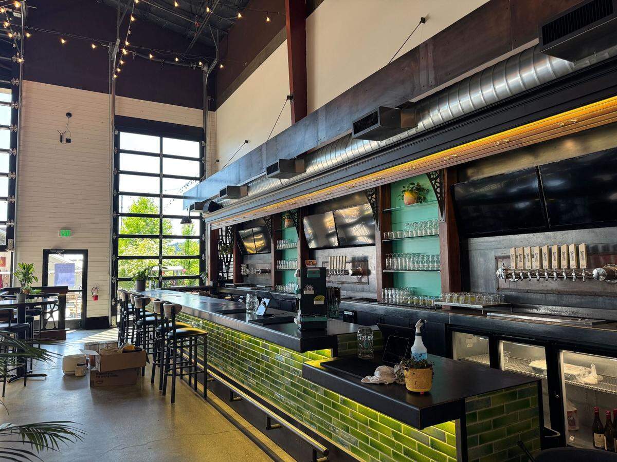Both of Stemma Brewing Co.’s Bellingham locations will have green beer on Tuesday, March 17, 2026, for St. Patrick’s Day.