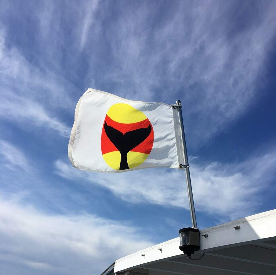 Boating in WA: Distress flags, skier down and diver flags | Tacoma News ...
