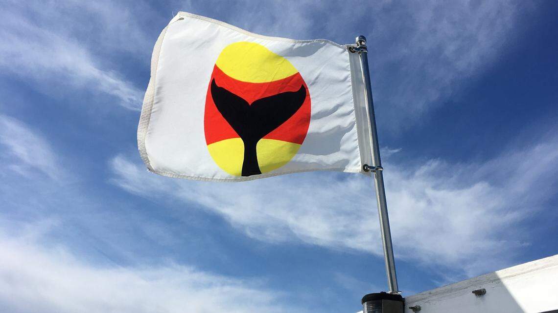 Protect yourself and whales while boating with this simple action