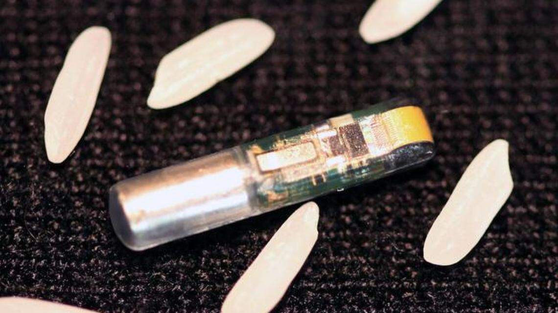 Learn about Richland research for ‘spying’ on fish to help them survive dams