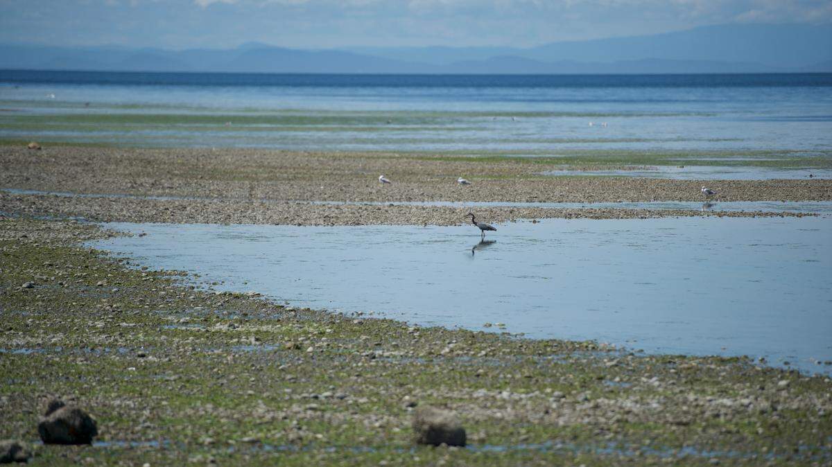 The Whatcom County Medical Examiner has confirmed that the death of a 16-year-old female found in Birch Bay State Park last week was by suicide.