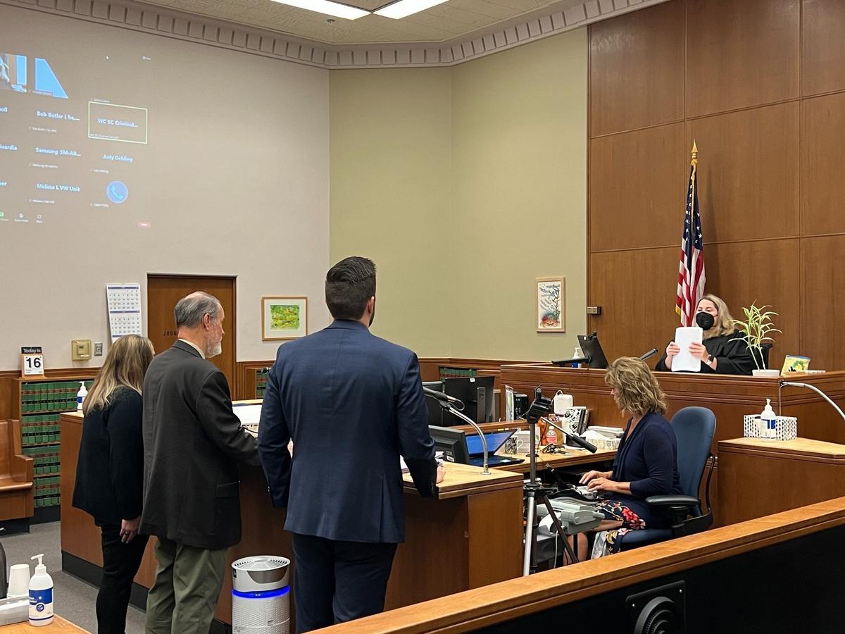 Tana Perkins Reneau of Blaine pleads not guilty to nearly a dozen charges including assault and sexual assault of children before Court Commissioner Ann Vetter-Hansen during her arraignment in Whatcom County Superior Court on Friday.