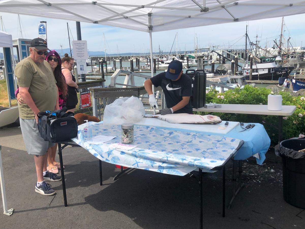 A professional filleter cuts up a fish someone purchased Saturday, July 2, at the Bellingham Dockside market at Squalicum Harbor in Bellingham.