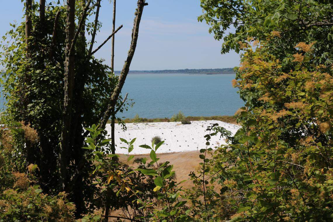 The Cornwall Avenue Landfill cleanup site in Bellingham is visible Monday, July 12, from South Bay Trail, a walking path that winds along part of Bellingham Bay.
