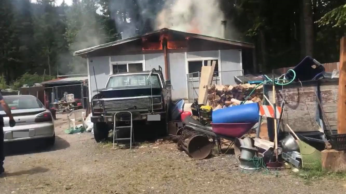 Three cats were killed and a Maple Falls family was displaced by a mobile home fire Thursday afternoon, June 10, that was believed to be caused by a heat lamp.