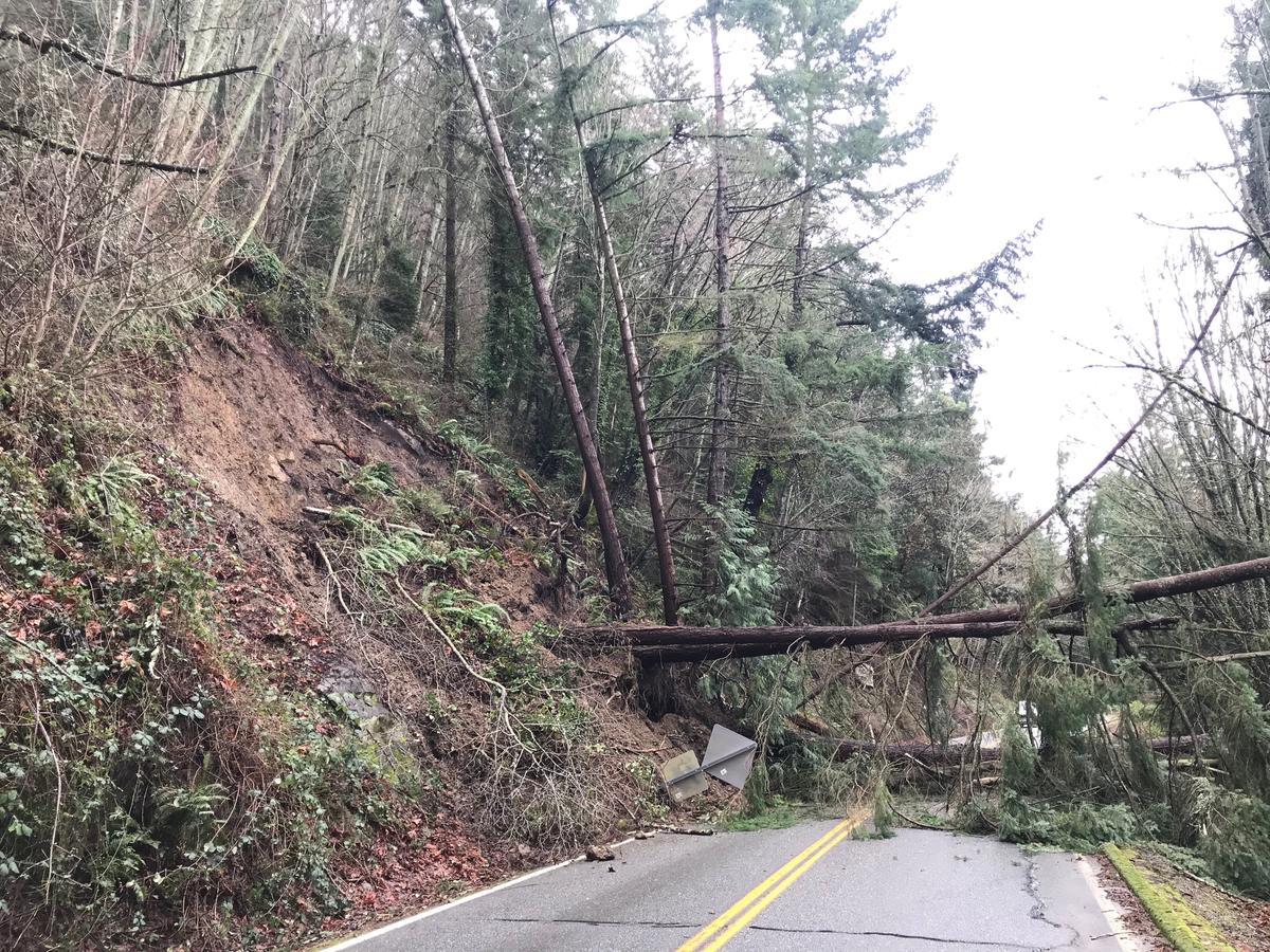 A landslide closed Chuckanut Drive near Clayton Beach in Whatcom County on Saturday, Feb. 8, 2020.