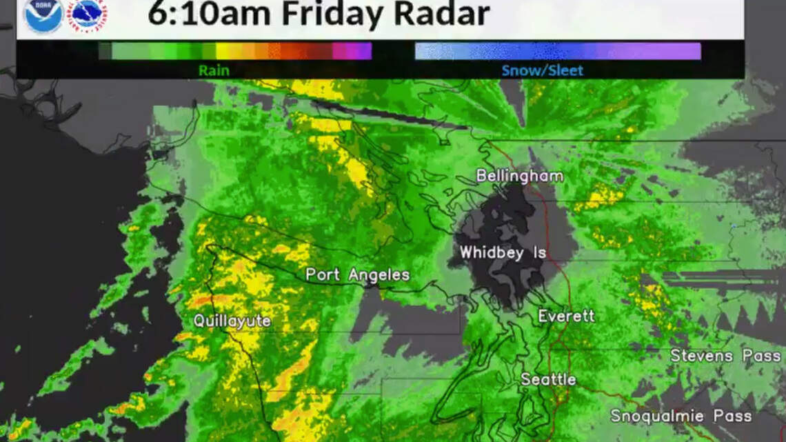 Strong wind, rain storms continue to hit Whatcom | Bellingham Herald