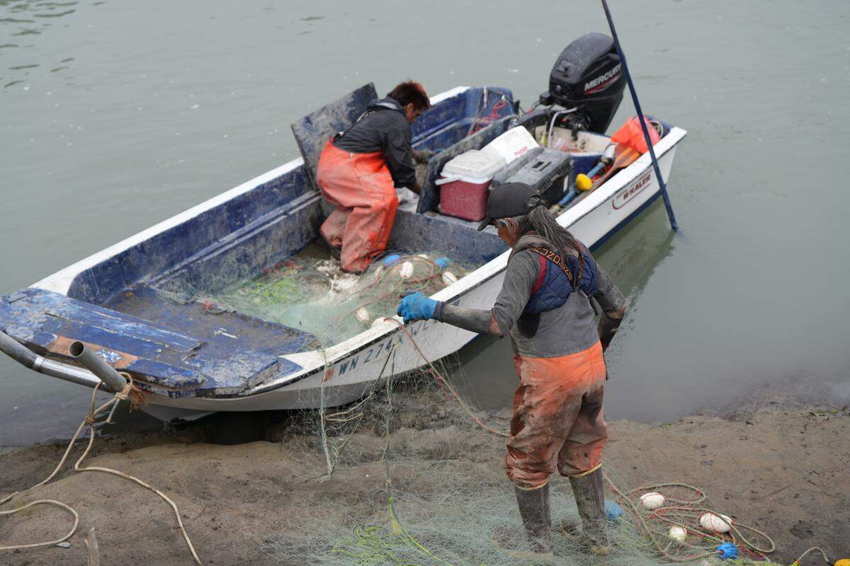 Lummi tribal members fish on the Nooksack River on Aug. 21, 2024, near Bellingham, Wash.