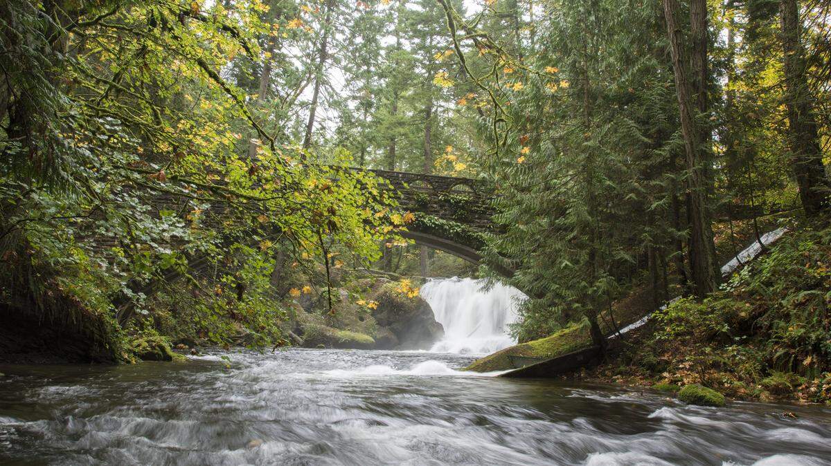 A court will decide who owns rights to all the water in Whatcom County as part of a lawsuit brought by the state Department of Ecology.