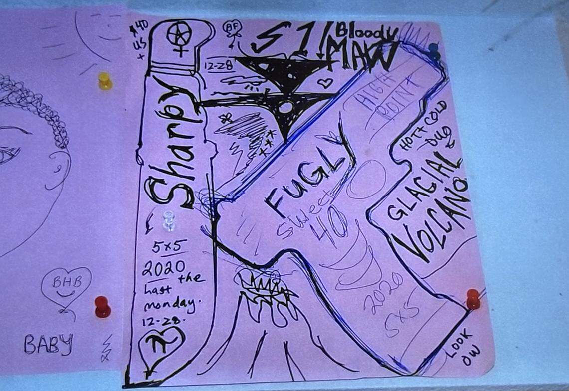 A photo of a drawing of the gun believed to be used in the fatal shooting of Tom Flood that was found in the apartment of Lynda Clare Mercy.