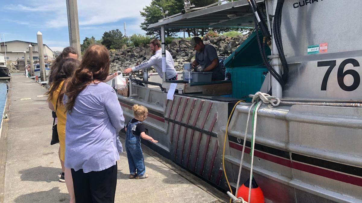 Sound Leader Seafoods sells a variety of whole fish Saturday, July 2, at the Bellingham Dockside market at Squalicum Harbor in Bellingham.