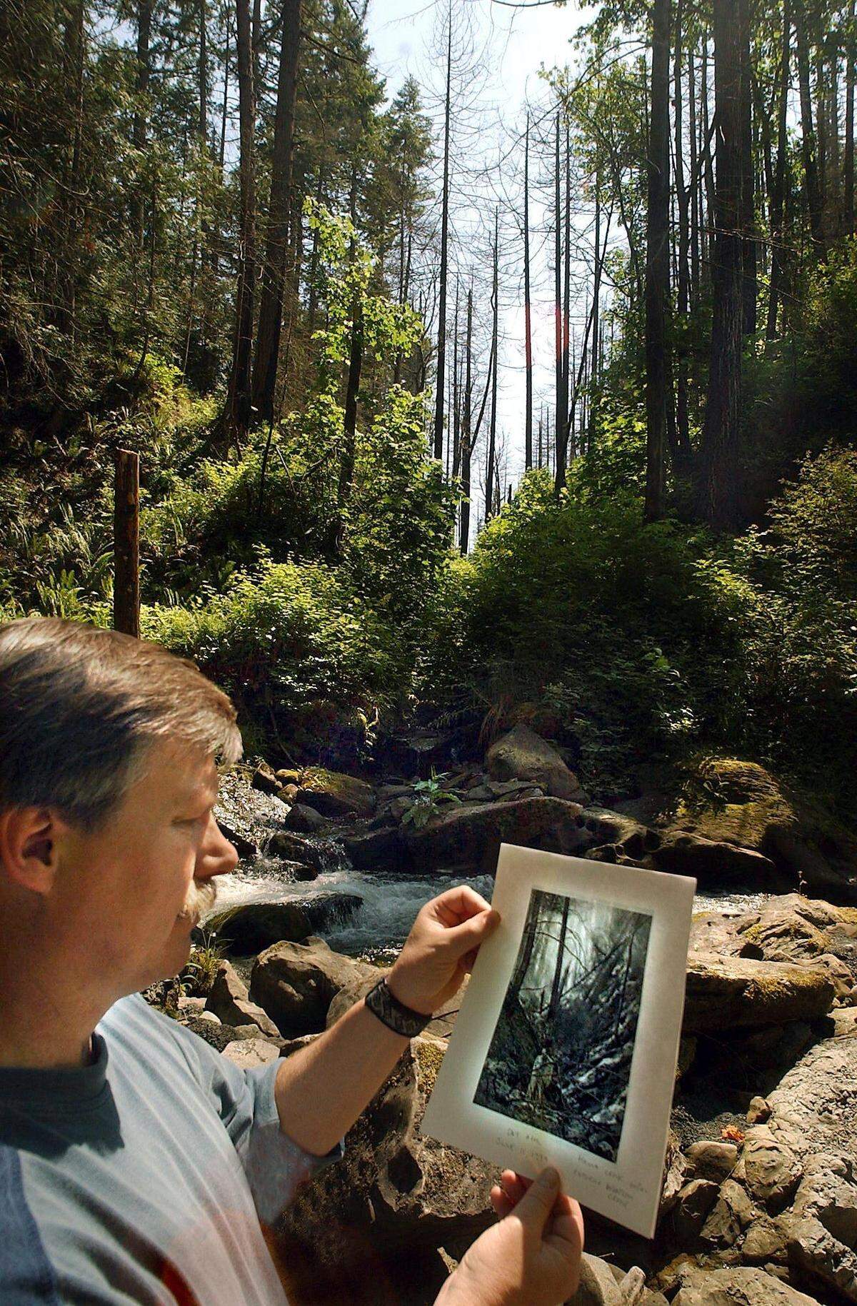 Pipeline Safety Trust Director Carl Weimer visits the site of the 1999 Olympic pipeline explosion and compares a photo of where he’s standing in 2004 with a photo taken the day after the explosion in Whatcom Falls Park.
