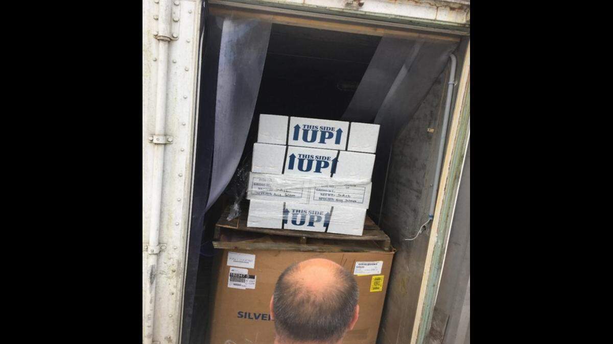 A member of the Lummi Nation and former owner of a wholesale fish processor was sentenced Wednesday, Dec. 14, in U.S. District Court in Seattle to three years of probation for violating the Lacey Act by selling illegally caught Columbia River salmon.