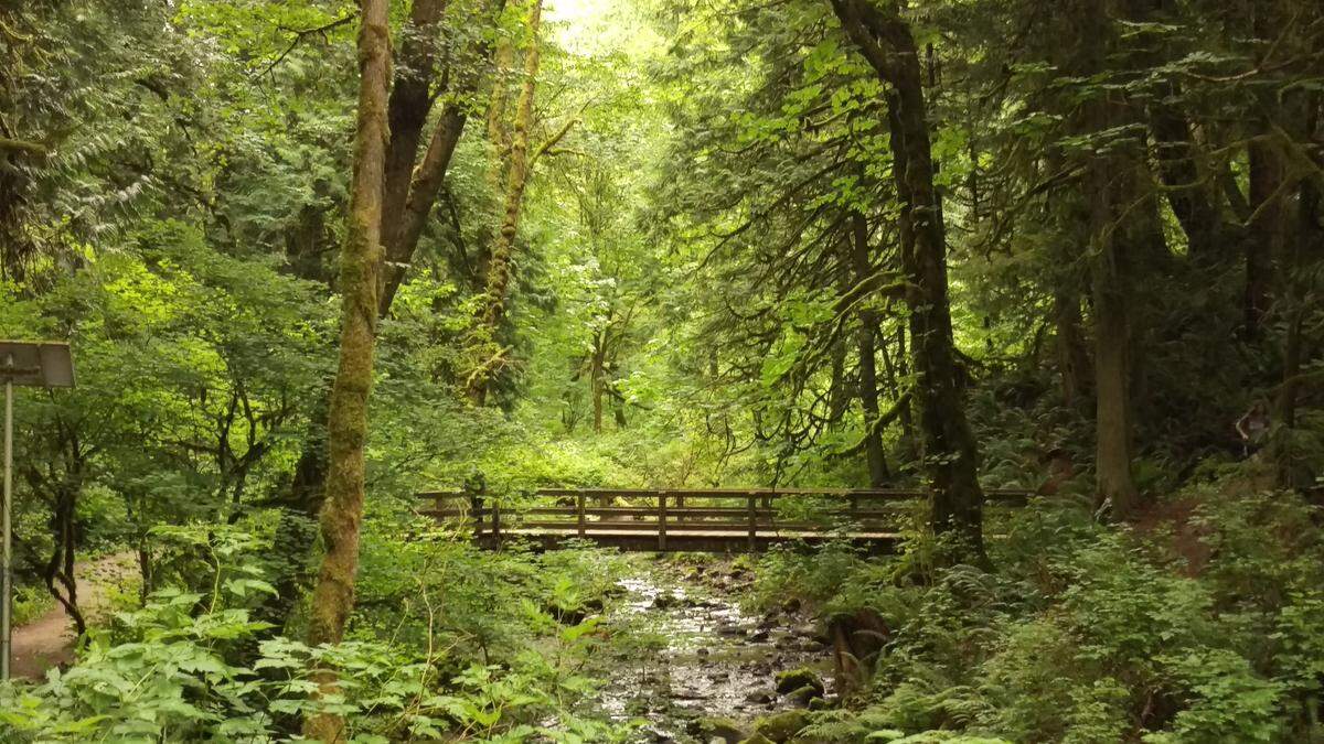 Bridge over Chuckanut Creek in Arroyo Park in Bellingham, Washington, on July 11, 2020.