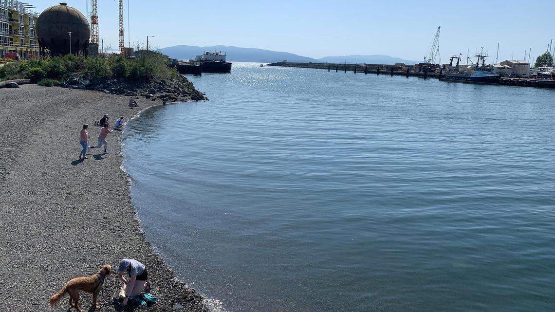 Community input sought on next phase of the Whatcom Creek Waterway cleanup project
