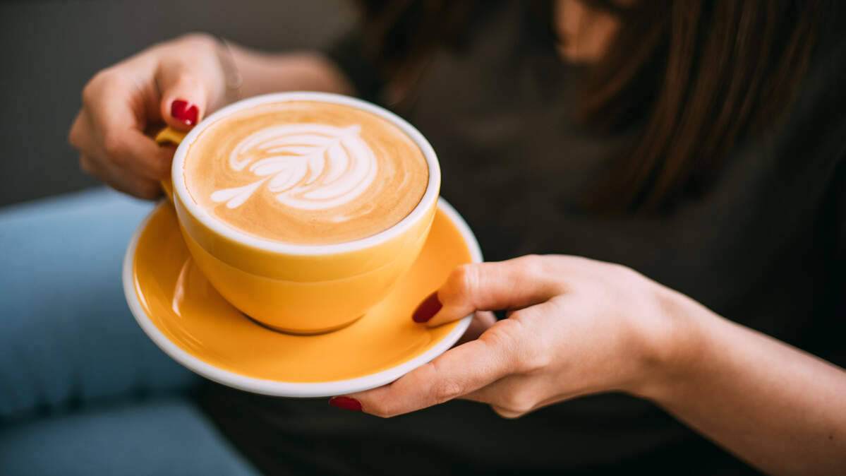 Yelp has ranked the best study spots in Bellingham.