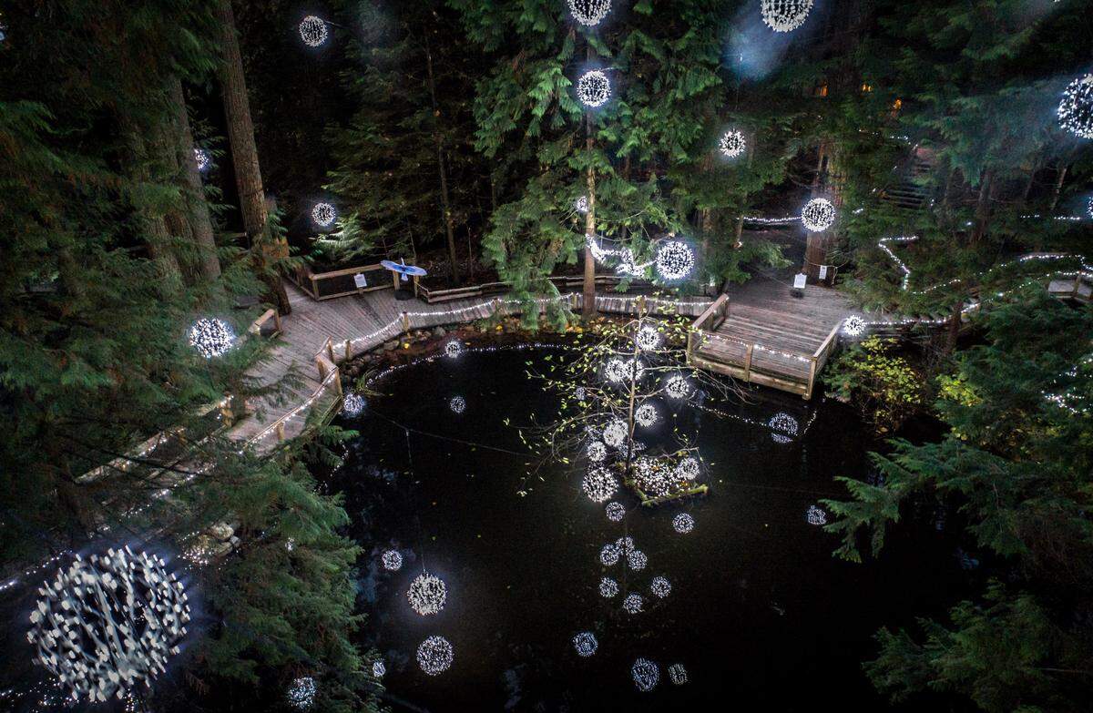 The Rainforest Pond at Canyon Lights Capilano Suspension Bridge Park in Vancouver, BC.