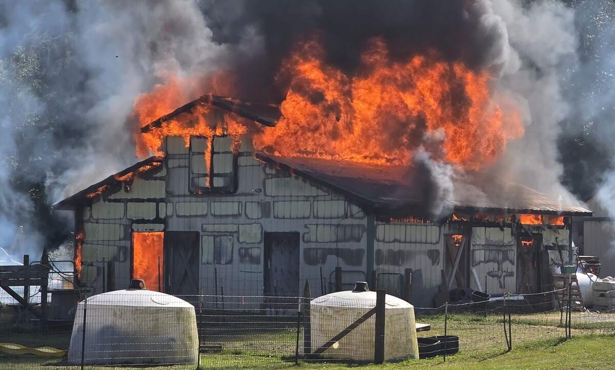No injuries, human or animal, were reported in a fire that destroyed a barn/workshop at Grace Harbor Farms Friday afternoon.