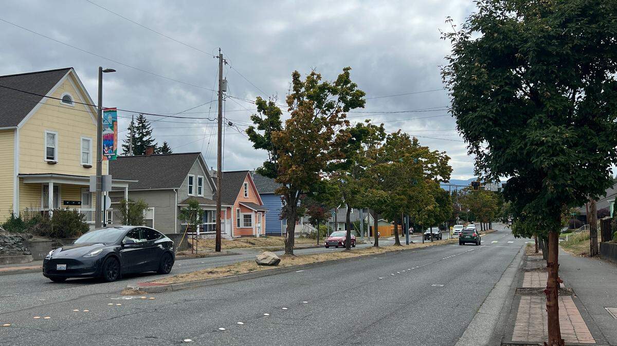 Trees that the city of Bellingham, Wash., said are dead or dying will be removed and replaced on the media strip from Holly-Ellis streets to Interstate 5.