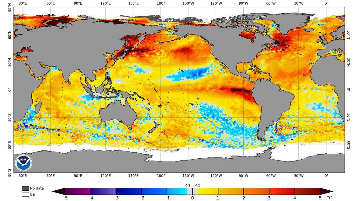An Aug. 30 sea surface temperature chart shows the dark red “blob” of warm water off Northwest Washington.